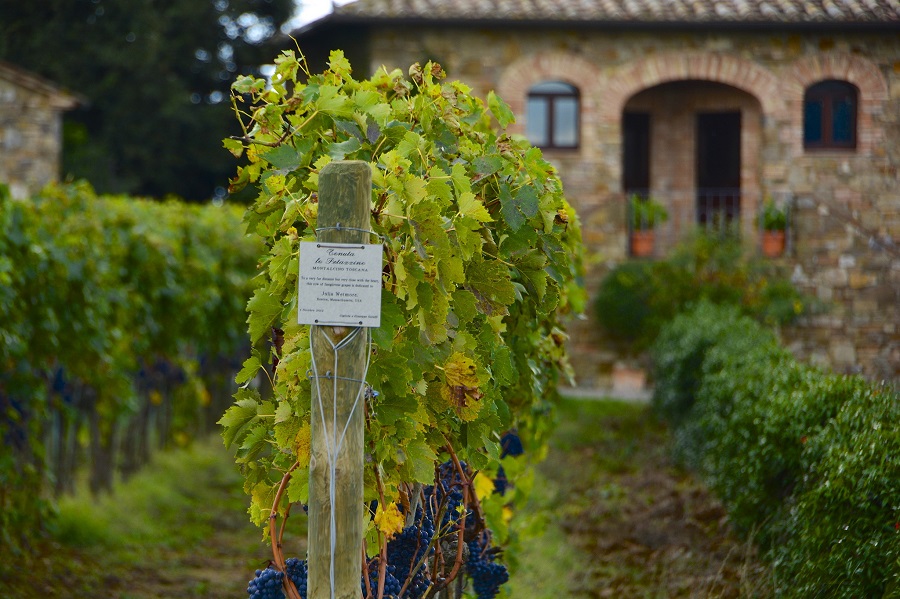 tuscan wines itineraries