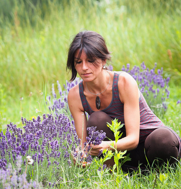 Lavanda Italiana