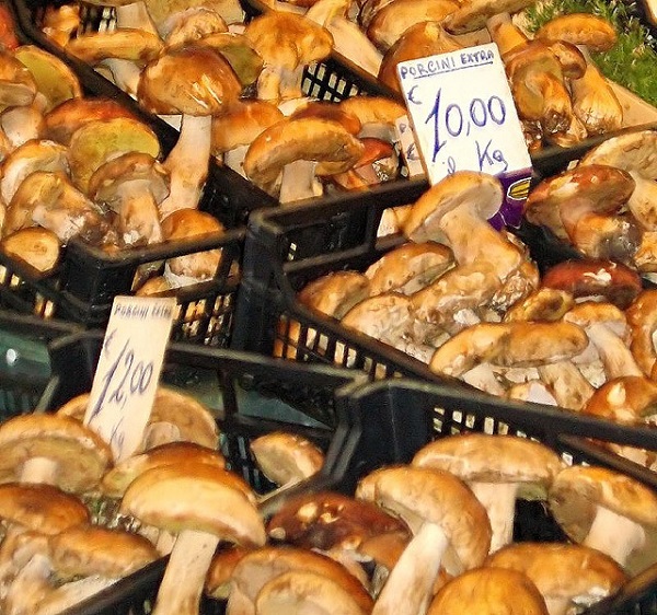 Buying Porcini 