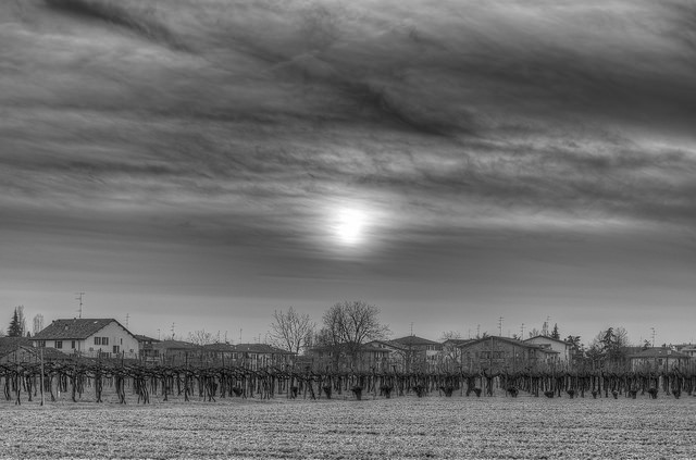 A typical Emilia-Romagna landscape 