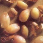 sweet and sour shallots