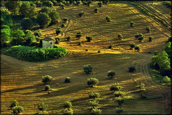 The countryside in TeramoPh. flickr/luigi alesi