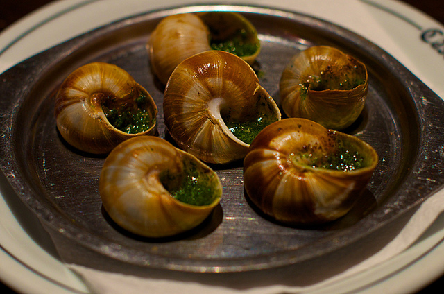 Weird Italian food: snails with garlic and parsley