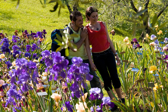 Il Giardino dell'Iris, Florence 