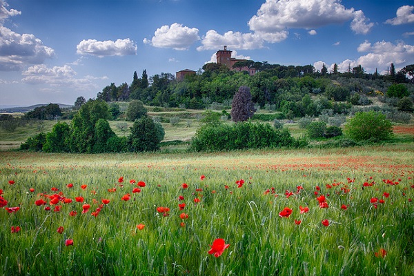 books about italy