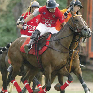 Rome Polo Club In Italy