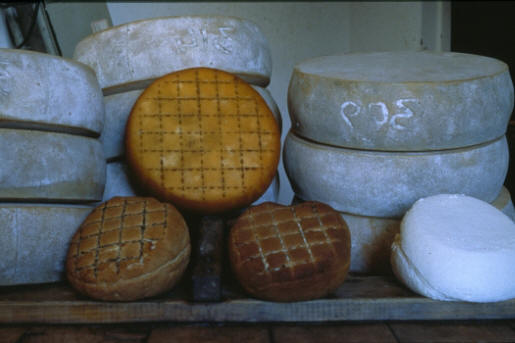 Carnia Cheeses