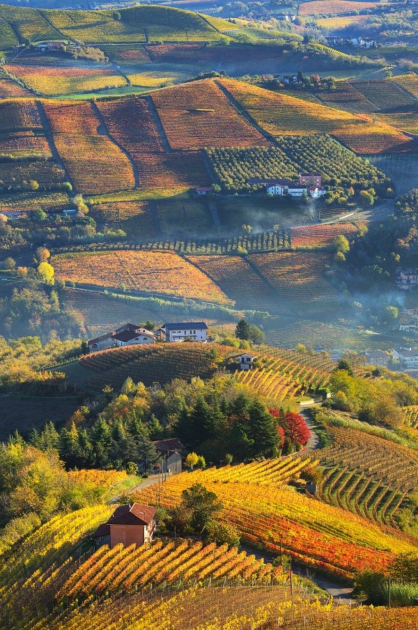 langhe