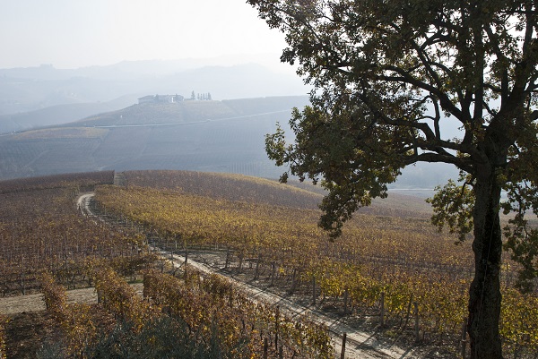 Autumn in Barolo, home to a great Italian red wine 