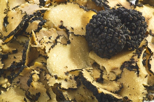 Umbria is the leading producer of Truffle in Italy