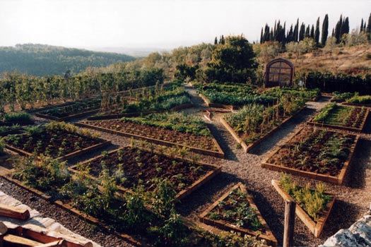 italian vegetable garden