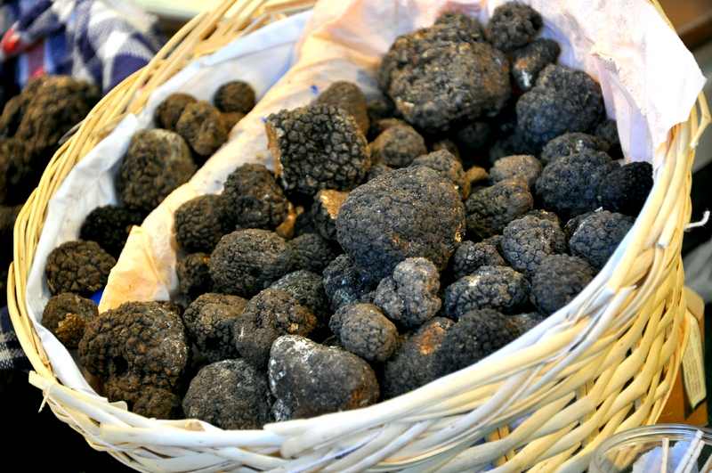 Italian Black Truffle