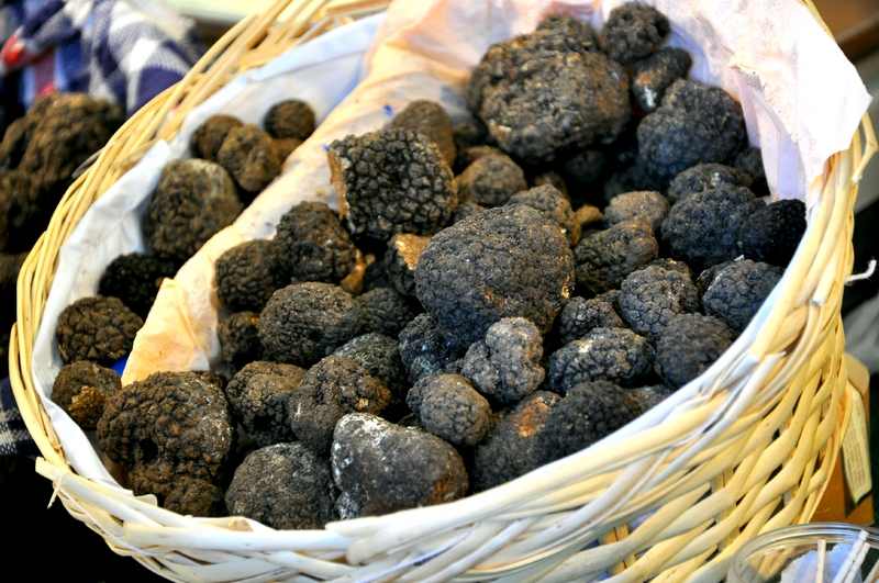 Tartufo nero italiano