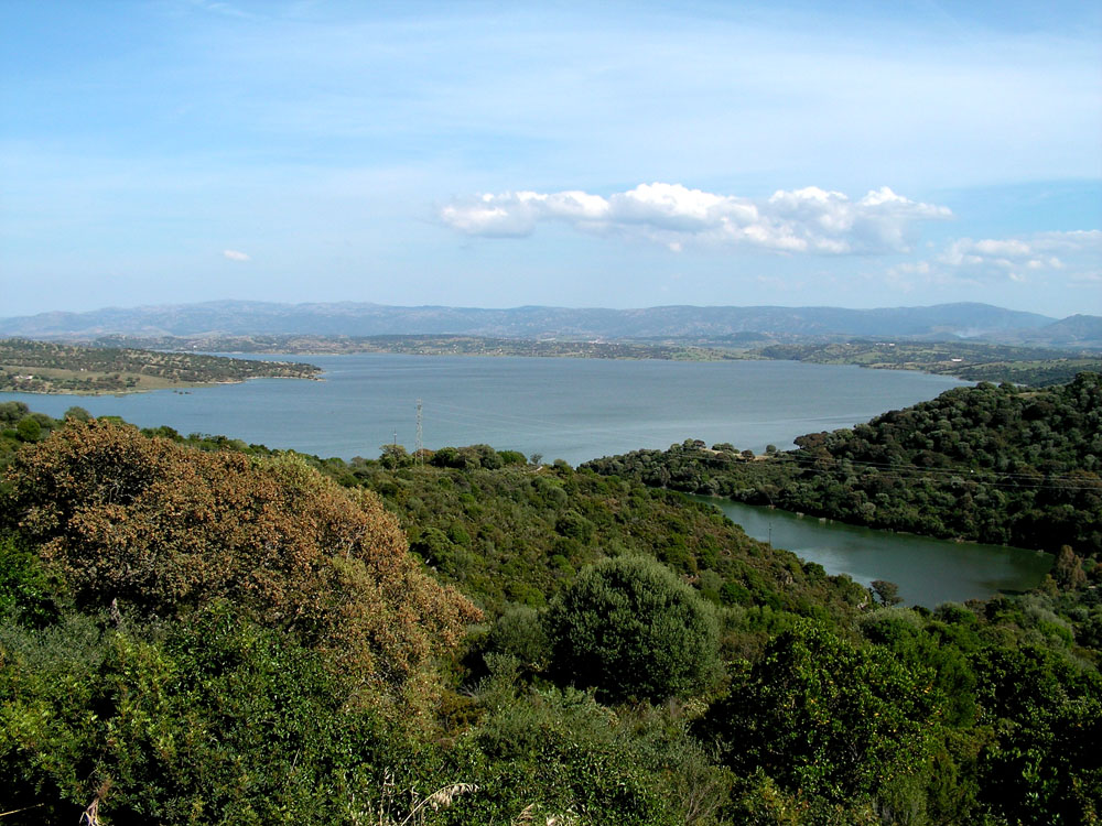 Lake Coghinas - Aerial View 