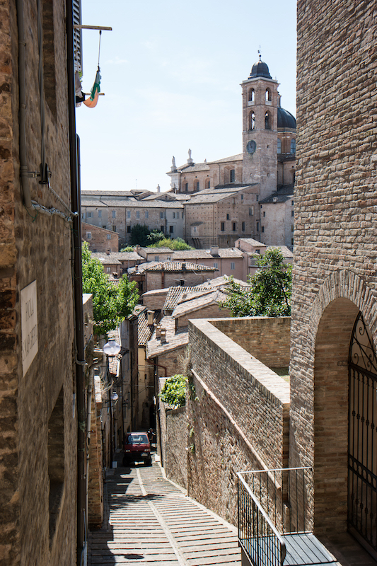 urbino montefeltro