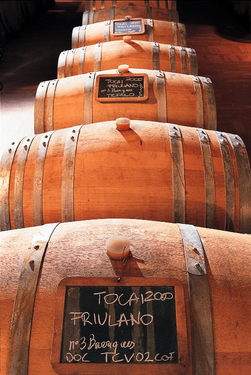 Wine barrels of Friuli Wine