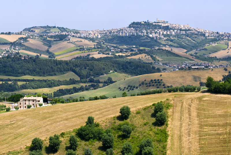 fermo