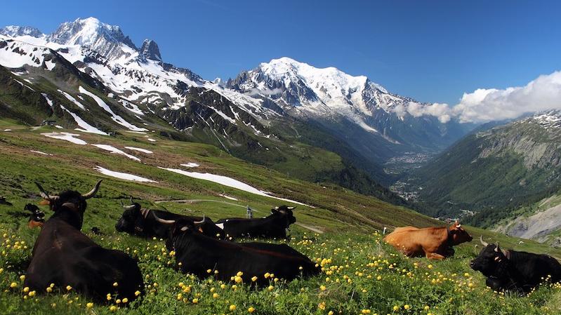 Mont Blanc: Itineraries for All, part Two