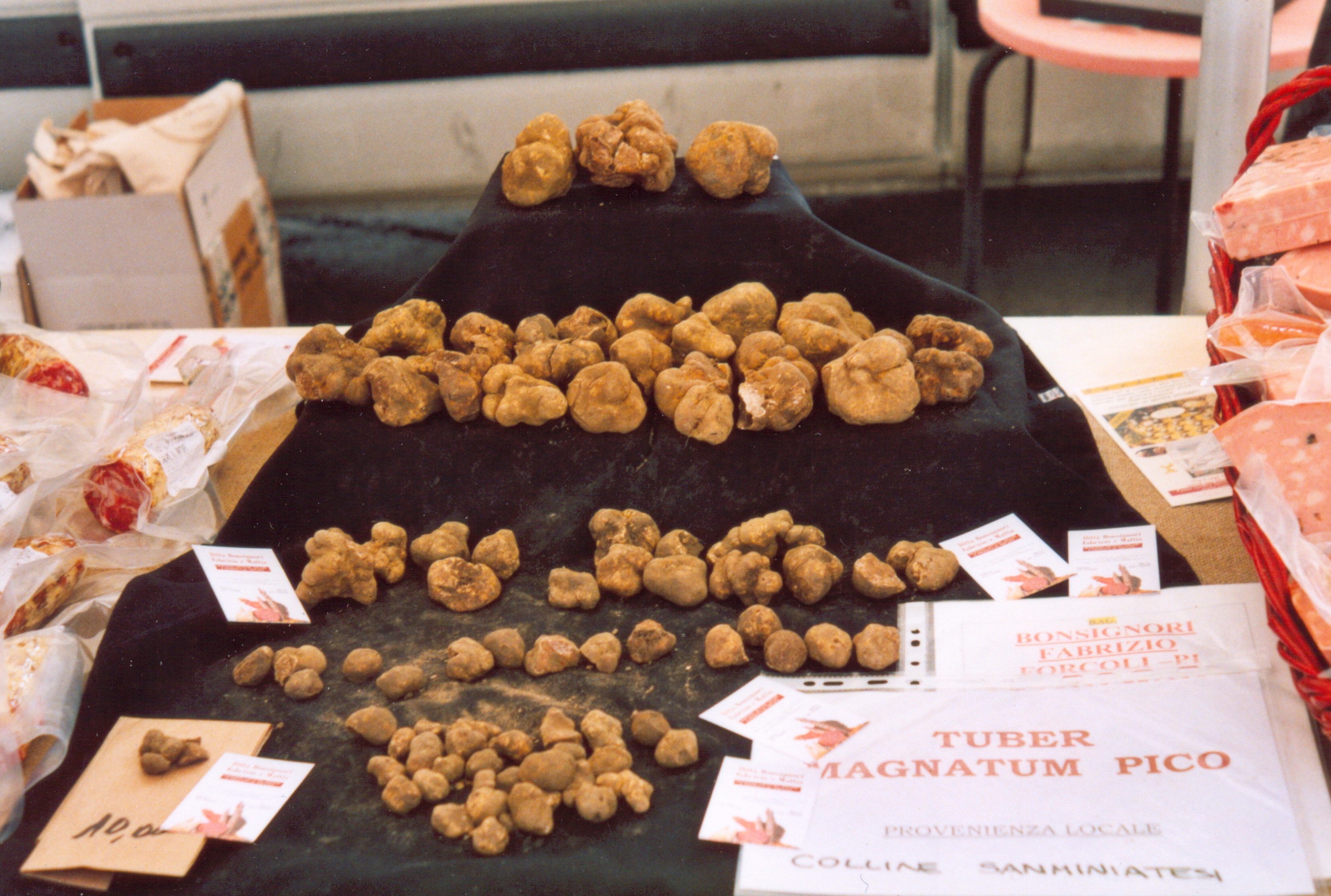 Vita tryfflar (Tuber Magnatum Pico)