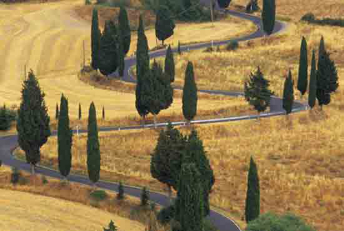 winding tuscan road