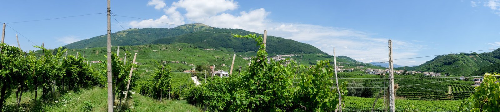 The Hills of  Prosecco and the issues UNESCO ignored
