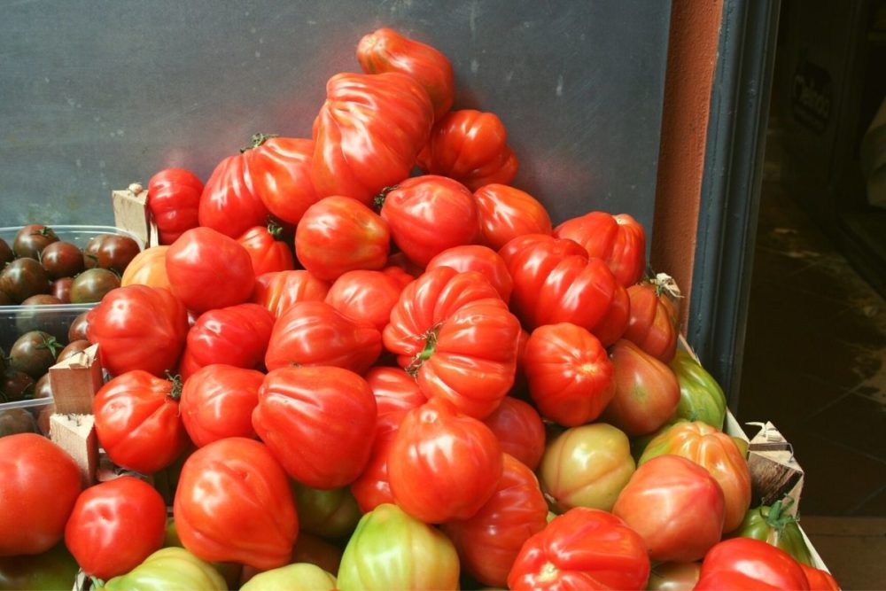 Italian tomatoes