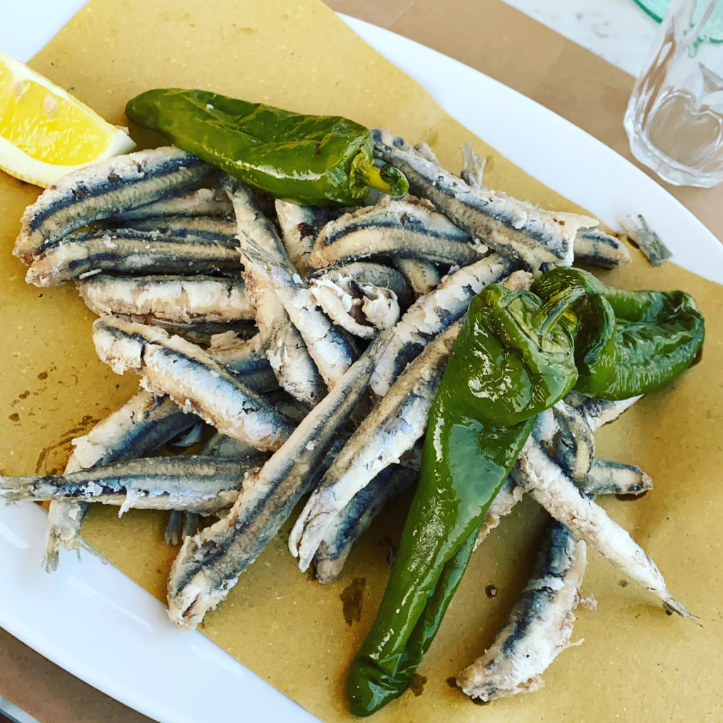 A Closer Look at Anchovies - Life in Italy