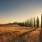 Top 10 Organic Farms in Italy - Agriturismo accommodation in Tuscany