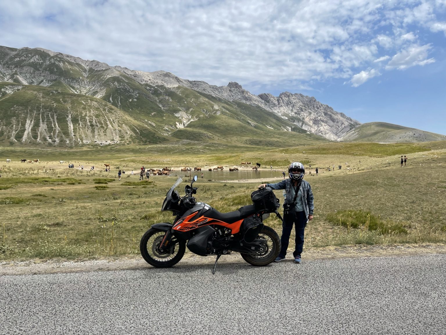 Wild Horses in Abruzzo