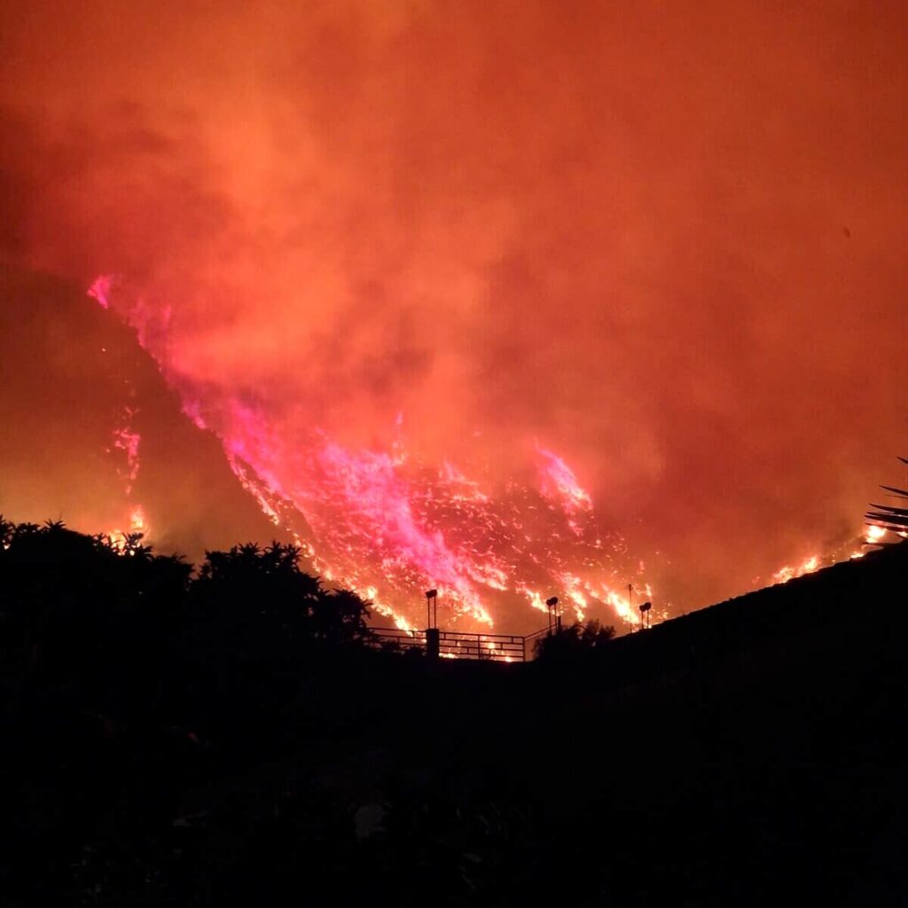 fires in Palermo - hospital