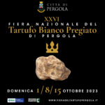 Fiera-del-Tartufo-Bianco-Pregiato-di-Pergola-2023