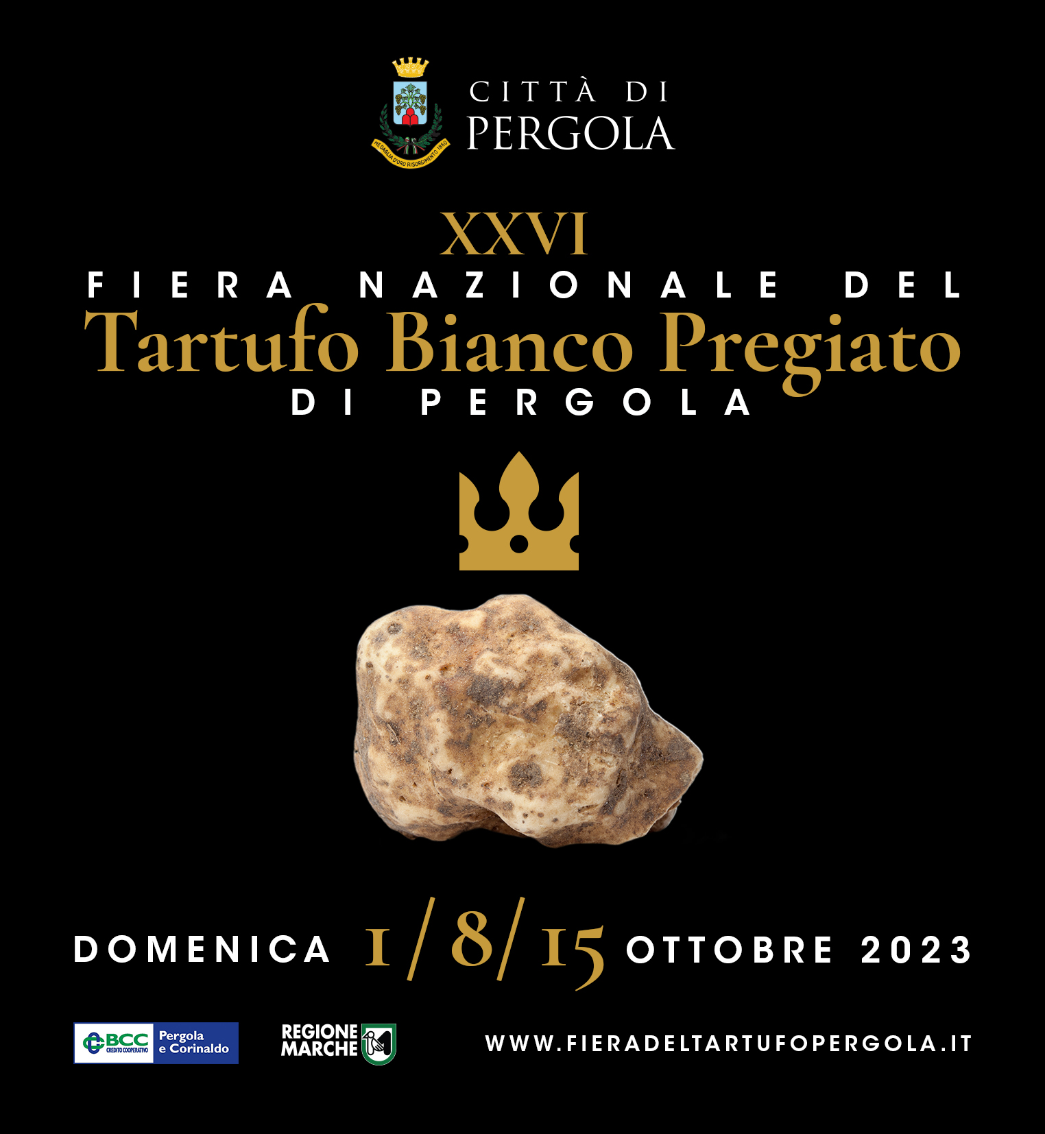 Fiera-del-Tartufo-Bianco-Pregiato-di-Pergola-2023