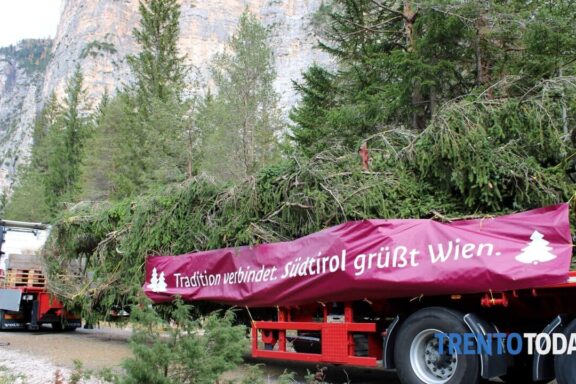 115-year-old fit cut down in Bolzano