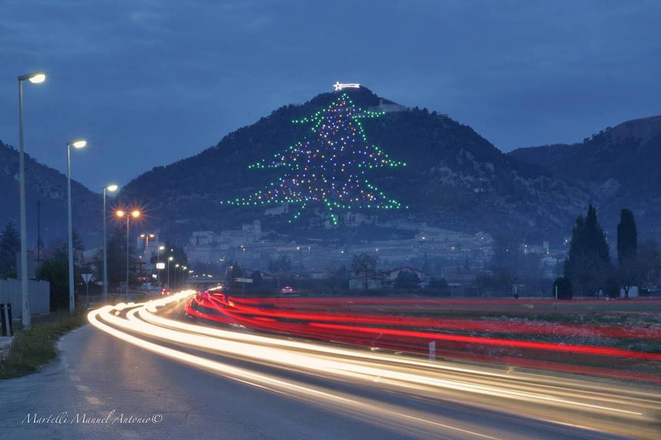 World's Largest Christmas Tree