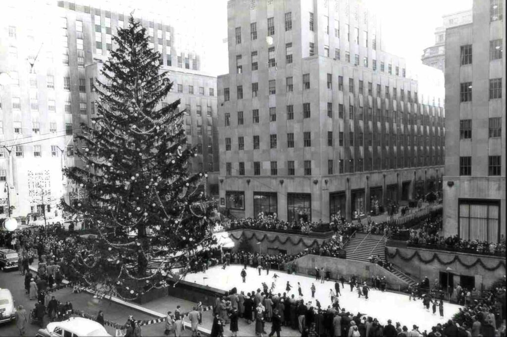 Christmas tree in New york