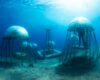 In Italy, the world’s first underwater garden: Nemo’s Garden