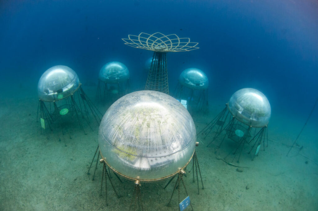 world's first underwater garden - Nemo's Garden