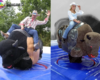 The world’s #1 mechanical bull industry is Italian: ShowGames