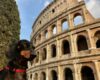 Moving to Italy with your pet: everything you need to know about transport