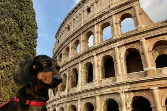 Moving to Italy with your pet